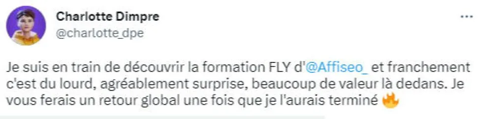 Fly20 avis