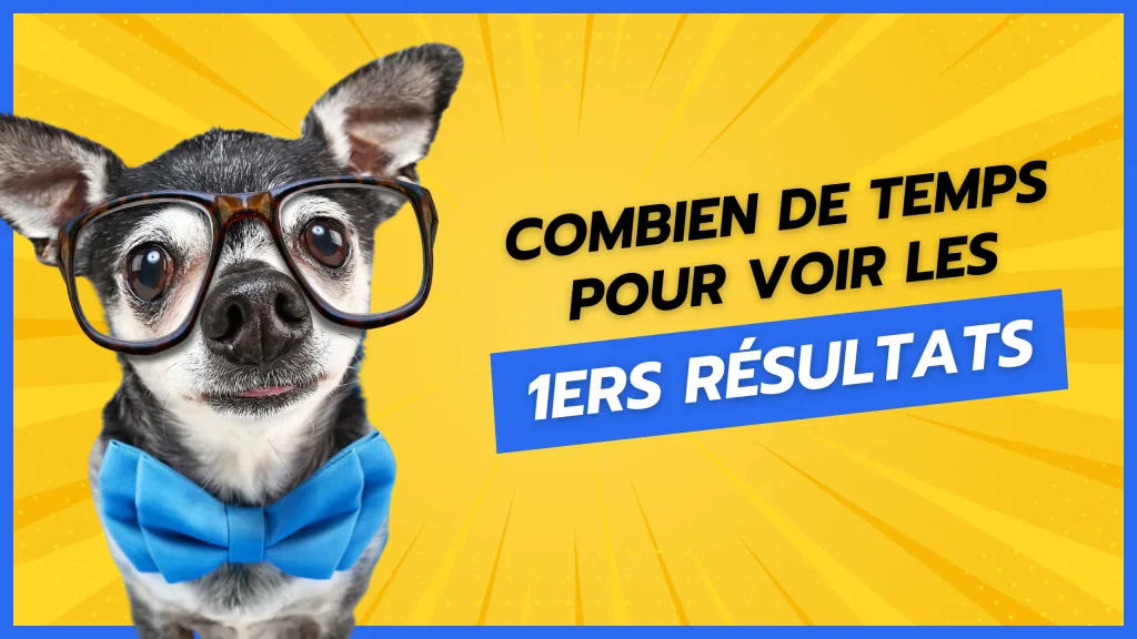 Comment attirer du trafic qualifié sur son site — Combien de temps faut-il pour voir les premiers résultats ?